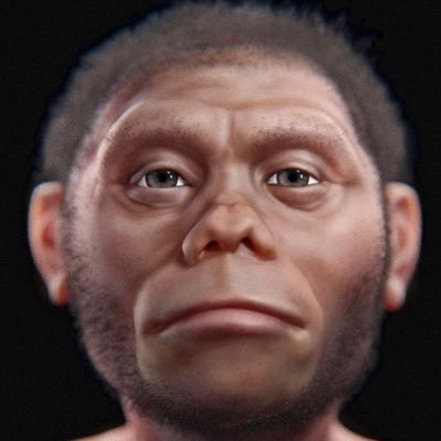Homo juluensis is a proposed extinct species of archaic human from China during Middle Pleistocene (781,000 to 126,000 years ago).