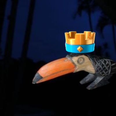 NanoFig26 Profile Picture