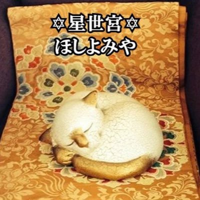 星世宮✡️さんのプロフィール画像