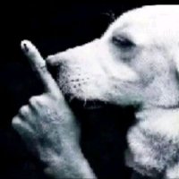 psiu⁷ (@maryqizn) 's Twitter Profile