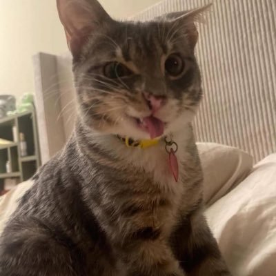 loqyodaria's profile picture. Nono