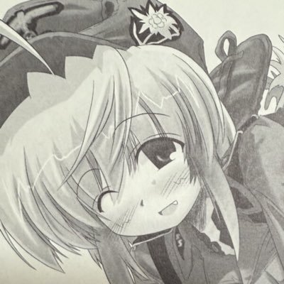 🇹🇼🇮🇱🇺🇦猛威🎌走負🇦🇷🇵🇾🇫🇲さんのプロフィール画像