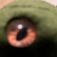 EvilBouncyBall (@evilbouncyball) 's Twitter Profile
