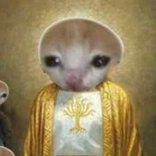 feezjam's profile picture. Crypto over Stonks.