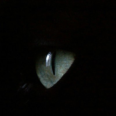 SAさんのプロフィール画像
