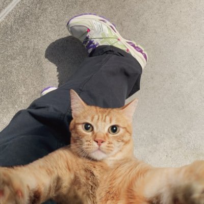 MgdHp0WCBZ60199's profile picture. ランキングはしってます。