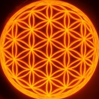 🟠Natural Ver2🌸 (@naturalwave2) Twitter profile photo