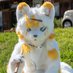 ⭐️ハル⭐️にゃん@ニックス🦊 (@haruhazuki_kigu) Twitter profile photo ⭐️ハル⭐️にゃん@ニックス🦊 (@haruhazuki_kigu) Twitter profile photo