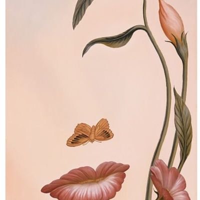 aitak6010's profile picture. 