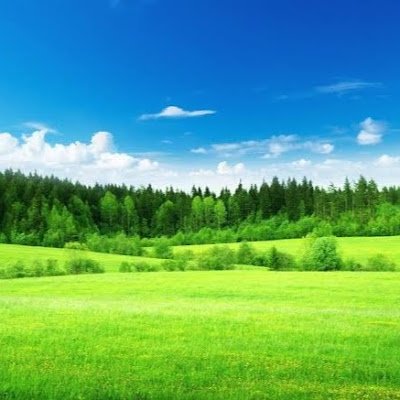 Touch1857623's profile picture. 
