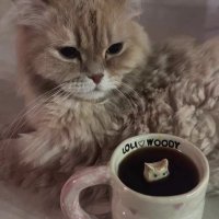 Em (@emalb) 's Twitter Profile
