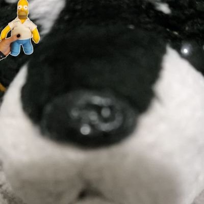 Jorgitox57's profile picture. Aña