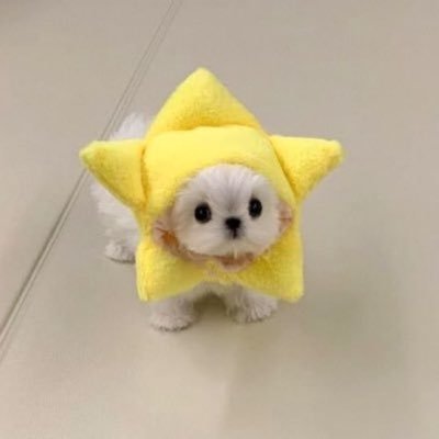 karlavaleriats's profile picture. no van a entender mi vibra