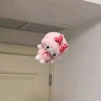 みるて (@n9v0dc) 's Twitter Profile