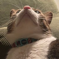 Nora Tao (@noratao43) 's Twitter Profile Photo Nora Tao (@noratao43) 's Twitter Profile Photo