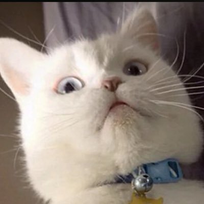 zatoshij's profile picture. What doesn't kill me make me stronger