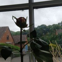 Andrew Chapman (@andrewc00736648) 's Twitter Profile Photo Andrew Chapman (@andrewc00736648) 's Twitter Profile Photo