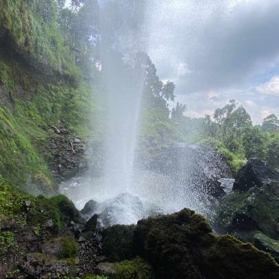 MandoSemei's profile picture. passionate about health,driven by passion to achieve a dream