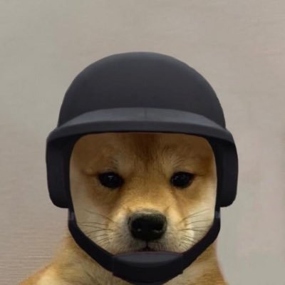 whyshubhwhy's profile picture. ML