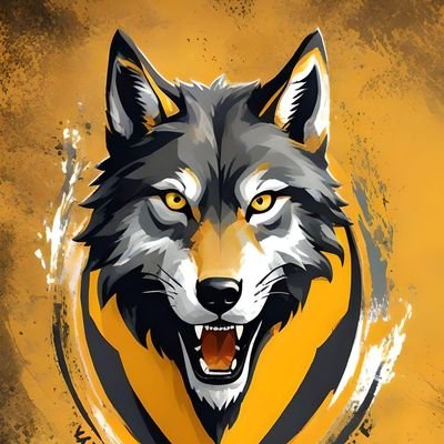 I'm from Accounts. I know where everything is and how everything works.
Black Country Born & Bred.
One City, One Club, One Passion.