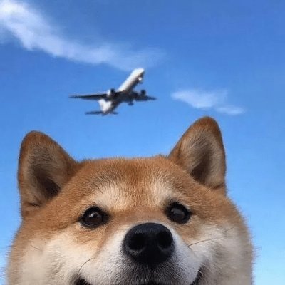 javierc53803138's profile picture. 