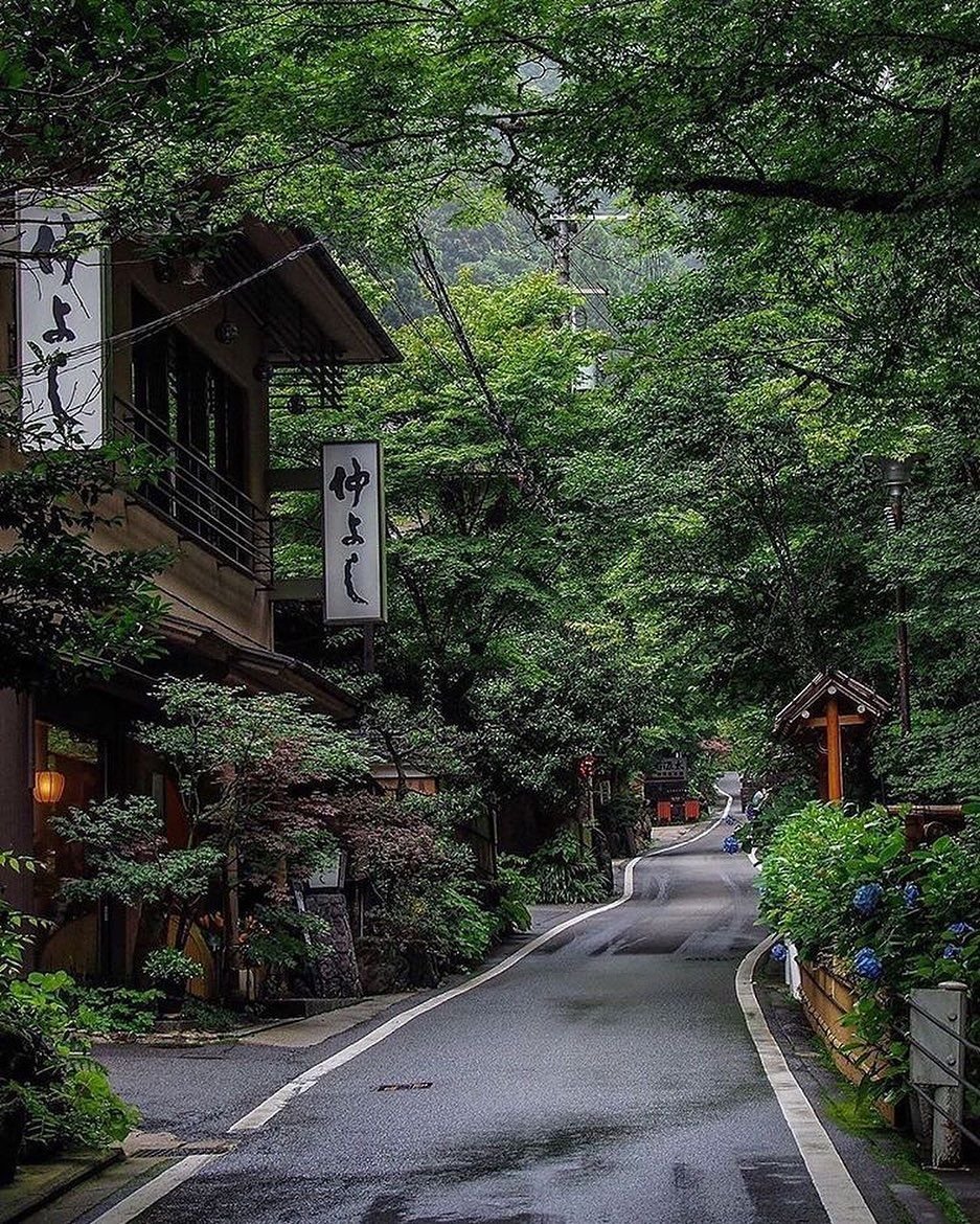 0421st's profile picture. 找个伪娘做老婆    AI瑟小说，剧情定制 https://t.co/zZW4CK73b3