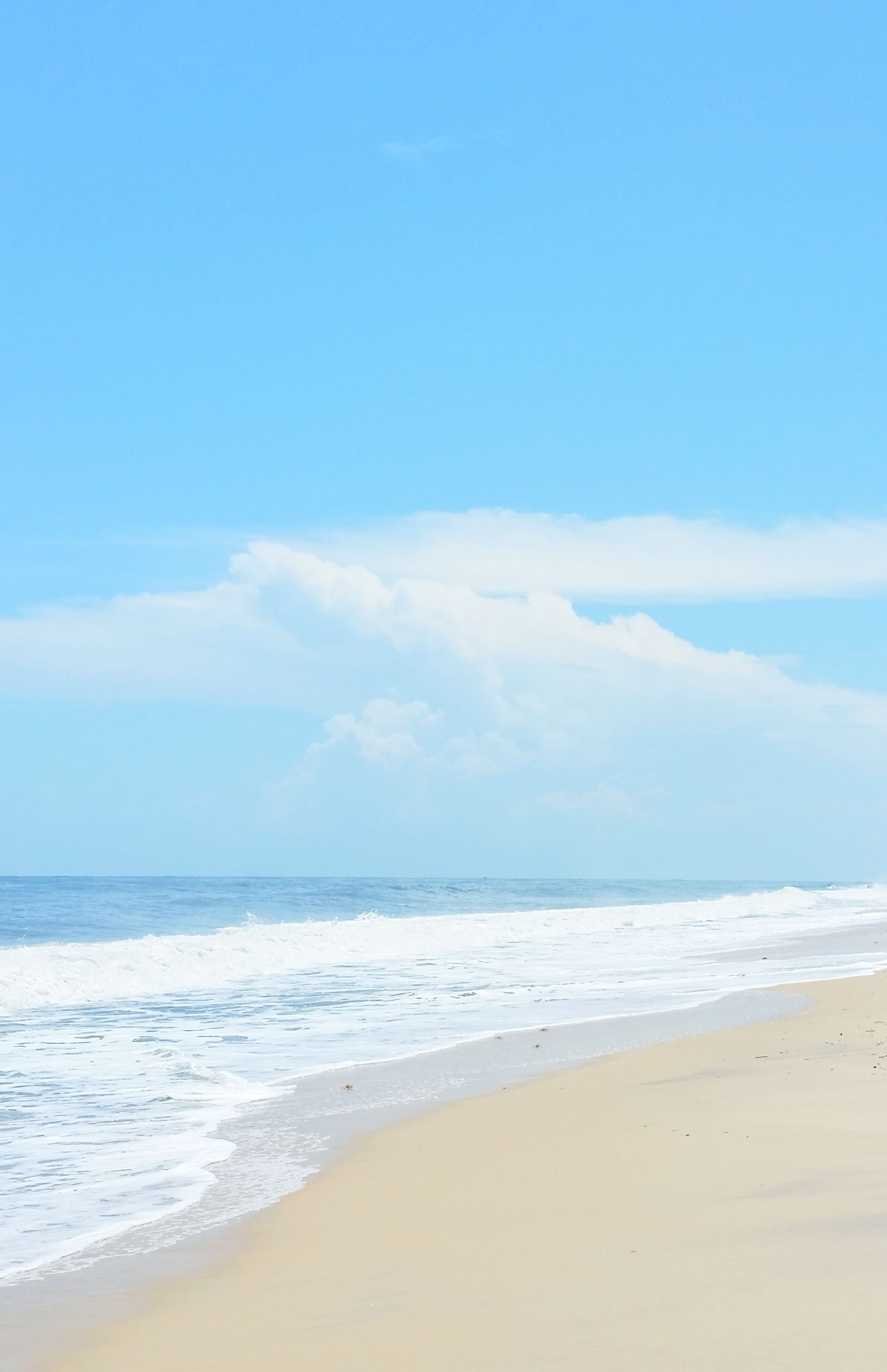 45_wilsonri's profile picture. カラオケに住みたい　多趣味