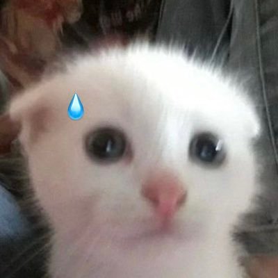 cc16bat's profile picture. หาแลก หาแฟนด้วย ชอบเด็ก 20 ลงไป เหงามาก ใครอยากมีหนุ่นตี๋สูง180 ทักมาคุยกัน