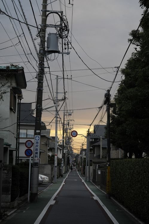 atom70002's profile picture. にゃんこ垢 bot以外は大体フォロバ