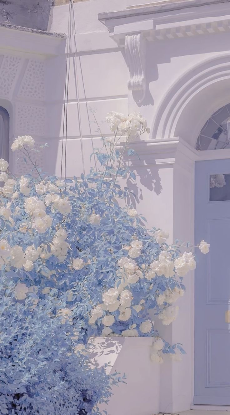 bisco199802's profile picture. にゃんこ大戦争とブルーアーカイブをやってる人です!