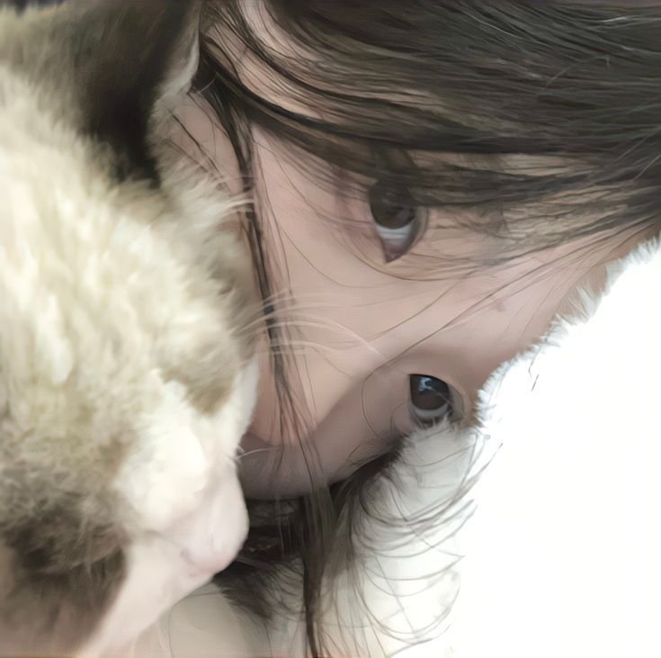 Bob40163970Bob's profile picture. ミディさん、バ美肉は兎鞠さんが好きです。アイコン→好きな絵師(@curotanu)さんに描いていただきました！ ミディさん(@mid_midy)の作るメロディが大好きです！