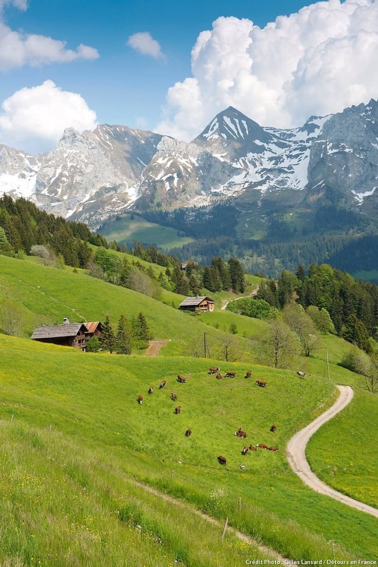 CamillaCordel's profile picture. 投資/マンション/遊戯王/ポケモン/格闘技/にゃんこ ブラックキグマ団:団長