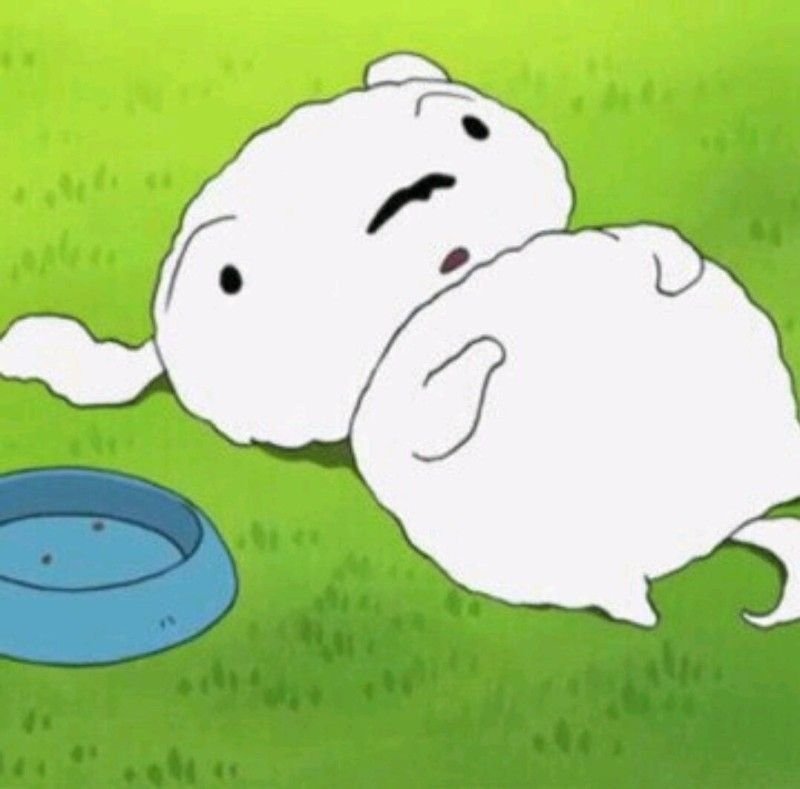 ご覧いただきありがとうございます(* ᴗ͈ˬᴗ͈)|基本的にきれいなもの かわいいものが好きです|無言フォローしがちです いいね/リポスト喜びます✨️|AIイラスト