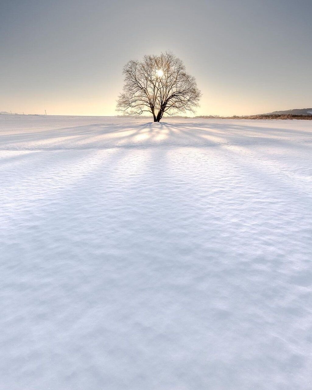 creasey_graham's profile picture. 找个伪娘做老婆    AI瑟小说，剧情定制 https://t.co/zZW4CK73b3