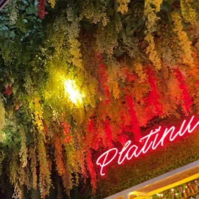 simbi___'s profile picture. 🩺 LDR stan 💐