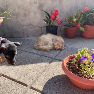 BCCM1004's profile picture. 