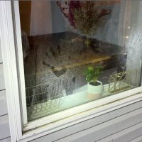 idaho 4 crime scene photos unblurred (@uretabarrientos) 's Twitter Profile
