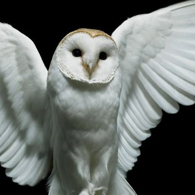Look. Up in the sky. It's a bird. It's a plane. No. It's just the void. Infinite and indifferent.