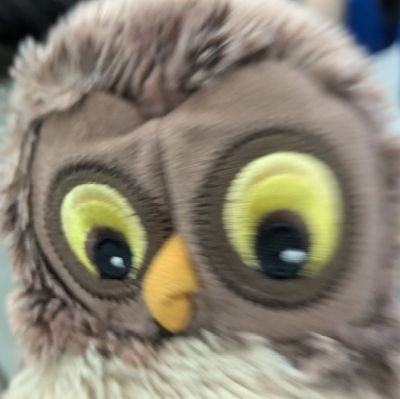 貓頭鷹さんのプロフィール画像