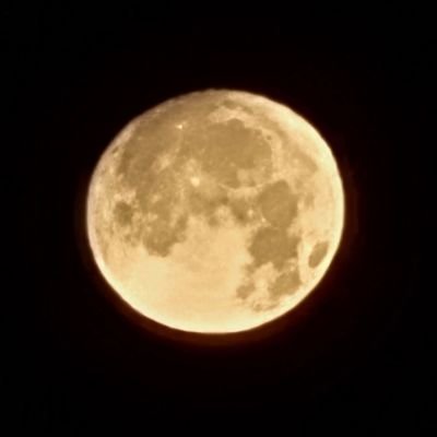 infi_sakeri's profile picture. 
