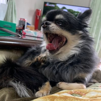 kabuganbarou's profile picture. スイングトレードに興味がある新社会人 色々情報集めて頑張るぞ2025/8/4〜ミニ株でれんしゅうちう_______同志さん無言フォロー失礼します🙏
