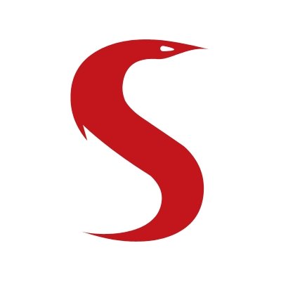 Serpent Consulting Services Pvt . Ltd. Profile