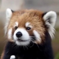 keitorokira (@kiraritoro) 's Twitter Profile