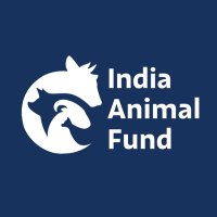 India Animal Fund (@iaf__org) 's Twitter Profile Photo India Animal Fund (@iaf__org) 's Twitter Profile Photo