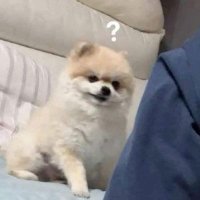 nyn_jul (@nyn_jul) 's Twitter Profile Photo