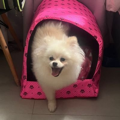 jehopark's profile picture. 