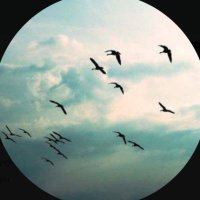 Uçarken Kuşlar (@ucarkenkuslarr) Twitter profile photo