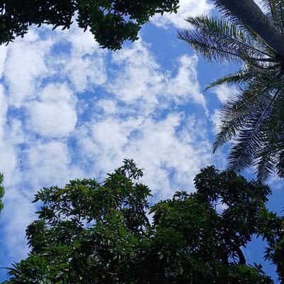 felps878's profile picture. Olinda/PE  Novinho Louco por rola