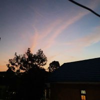 biebiyy (@pipibiebie) 's Twitter Profile