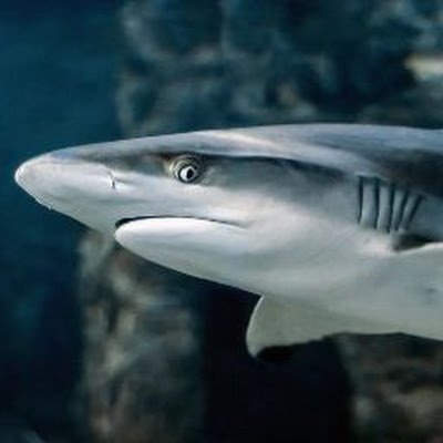 Stephan14276482's profile picture. 